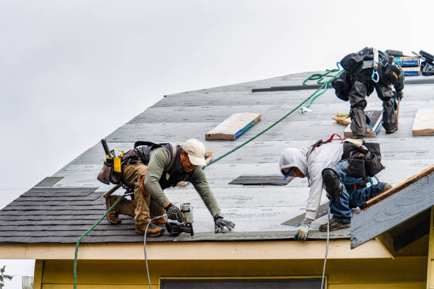 Professional Roofing technician working in Pacific Beach, WA